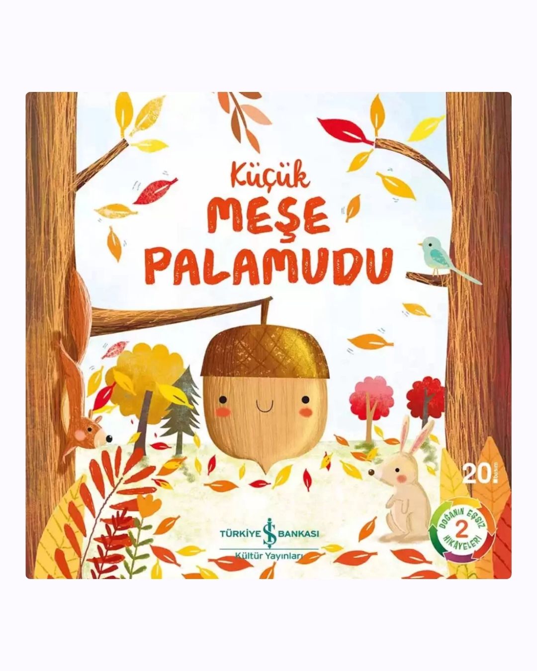 Küçük Meşe Palamudu – Doğanın Mucizevi Dönüşüm Hikayesi (3-5 Yaş)