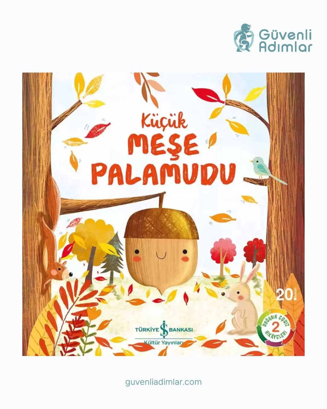 Küçük Meşe Palamudu – Doğanın Mucizevi Dönüşüm Hikayesi (3-5 Yaş)